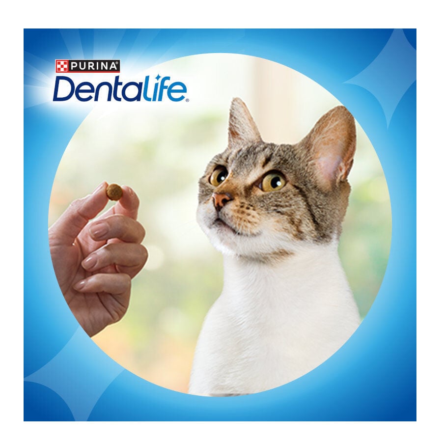 40 g Dentalife Snack Dentales Pollo para gatos, , large Imagen numero 8