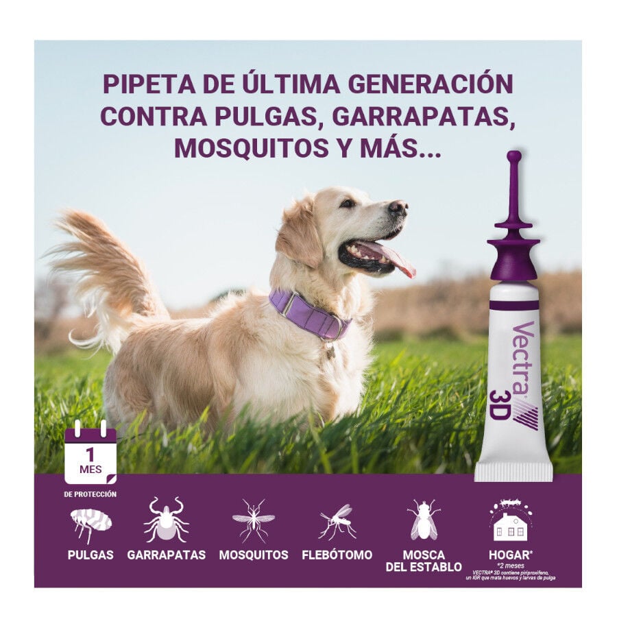 Vectra 3D Pipetas Antiparasitarias para perros, , large Imagen numero 6