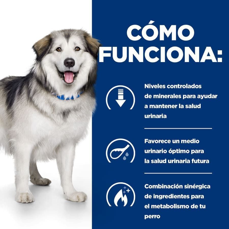 12 kg Hill's Prescription Diet Urinary + Metabolic c/d pienso para perros, , large Imagen numero 4
