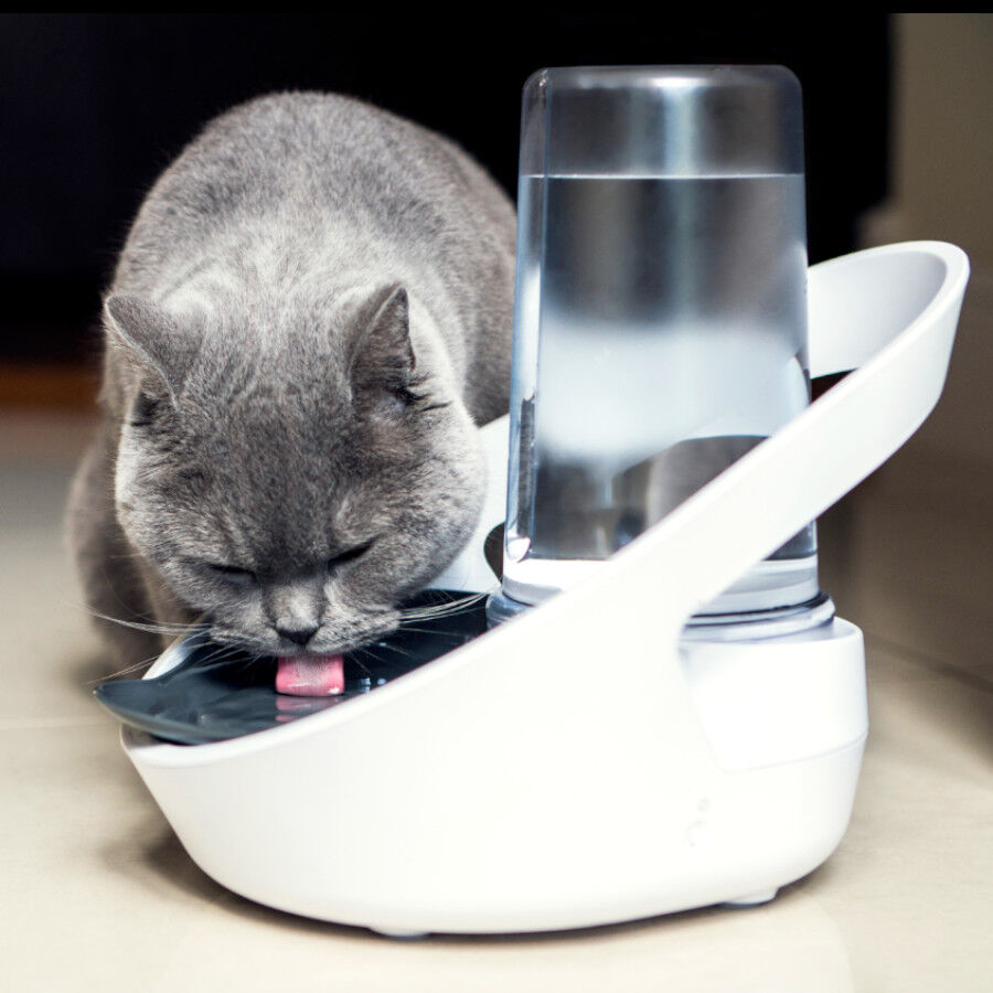 Sure Petcare Felaqua Connect Bebedero Autom&aacute;tico para gatos Imagen numero 2