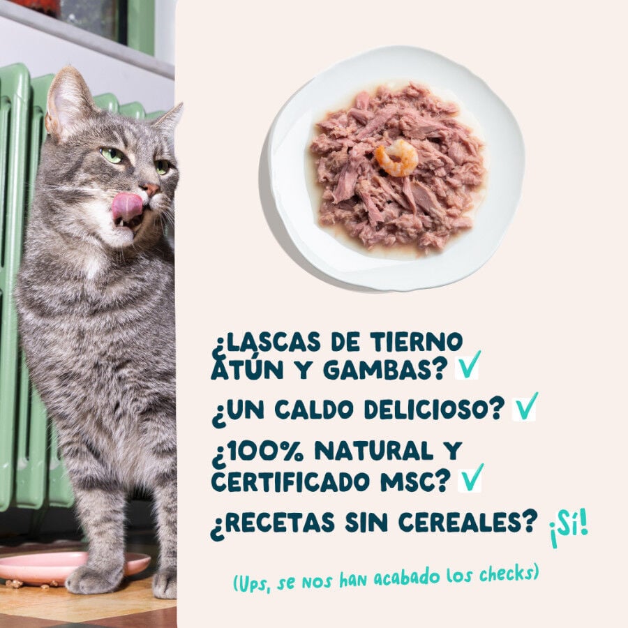70 g Edgard & Cooper Filetes de At&uacute;n y Gambas lata para gatos, , large indicador imagen numero 4