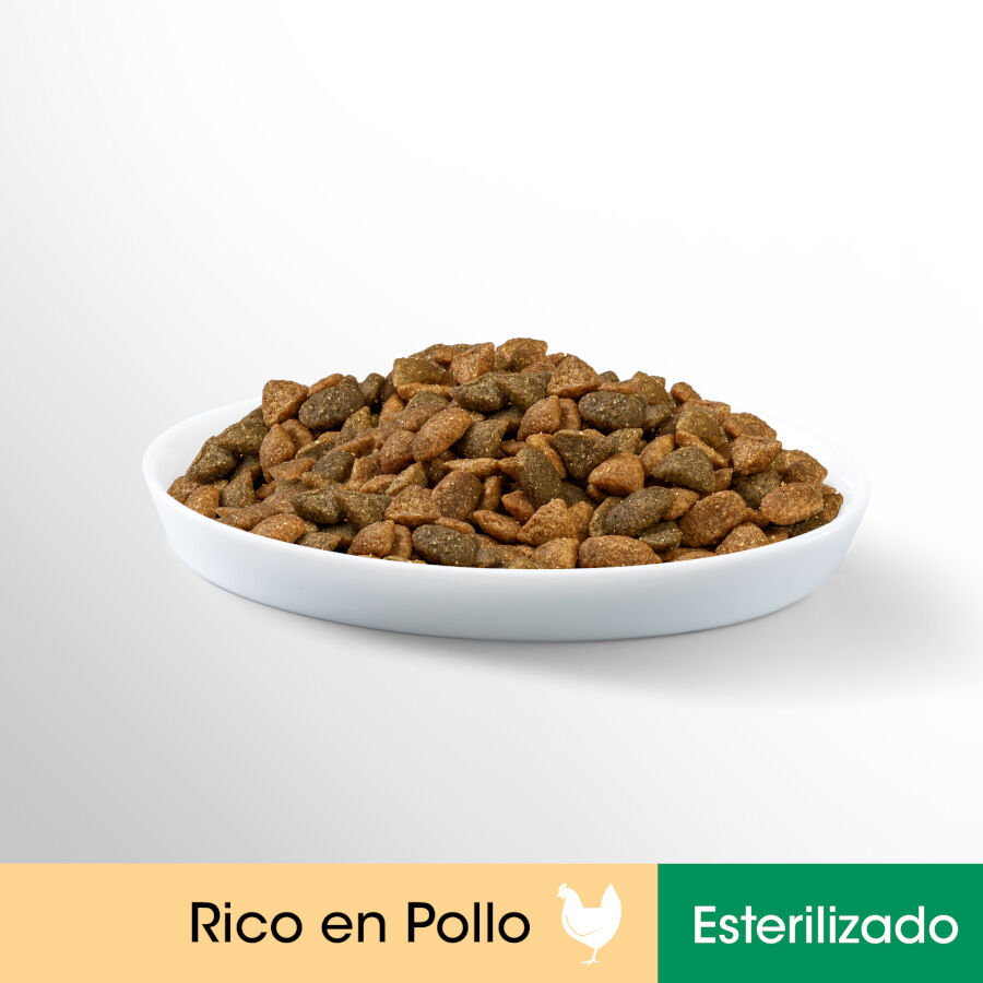 1.4 kg Perfect Fit Adult 1+ Esterilizado Pollo pienso para gatos, , large indicador imagen numero 5