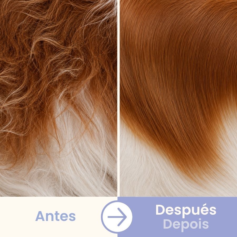 Bloob Peine Doble Cara para perros, , large indicador imagen numero 5