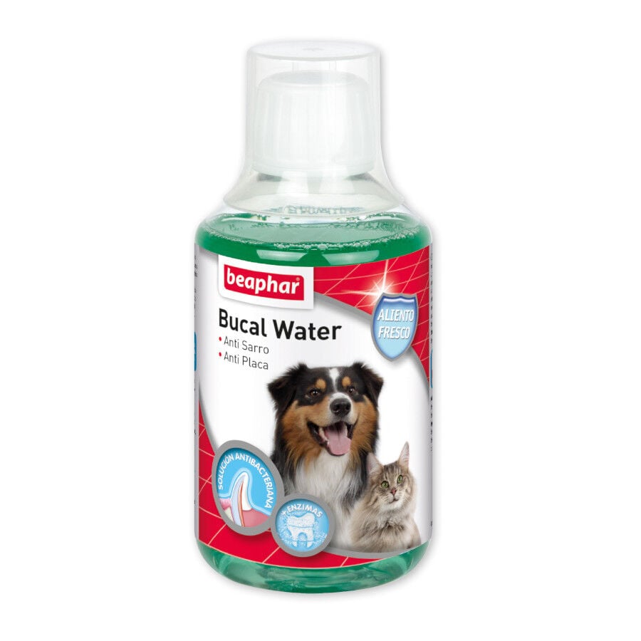 Beaphar Bucal Water enjuague para perros y gatos Imagen numero 1