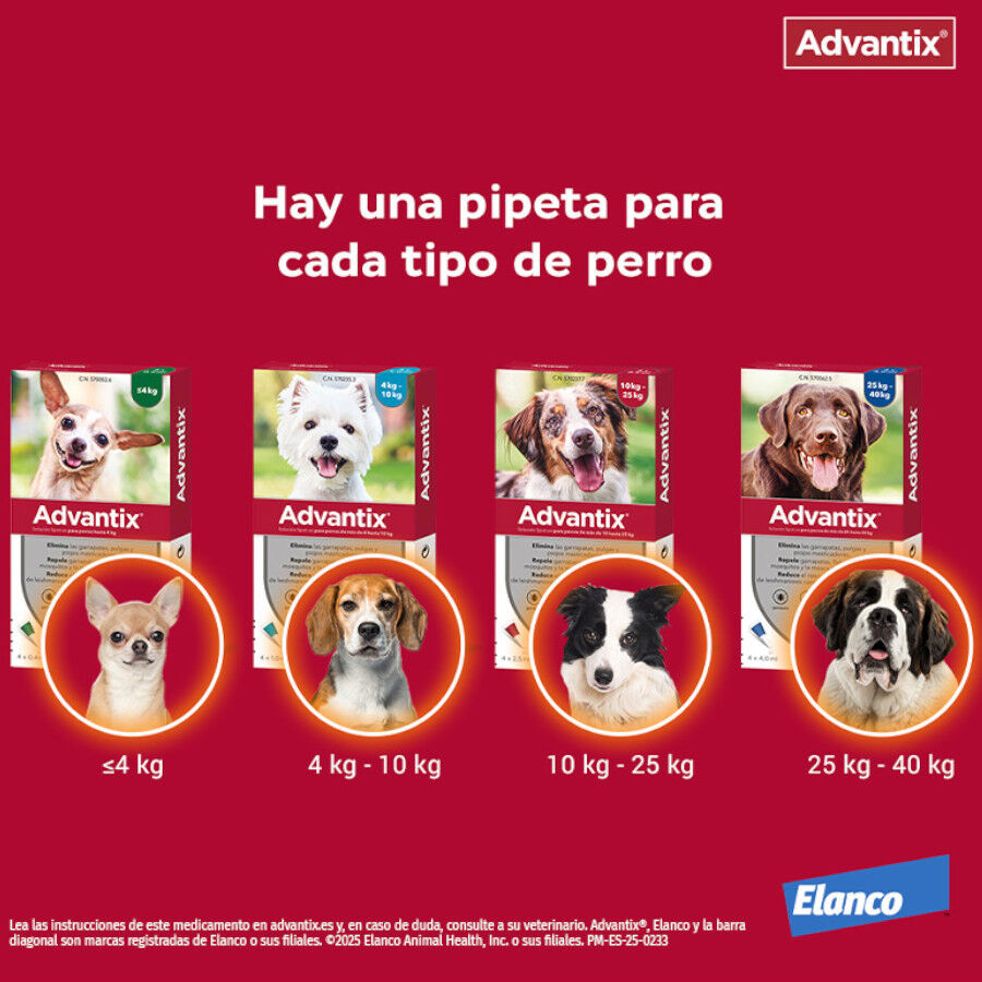 0-4 kg (4 uds.)Advantix Pipetas Antiparasitarias para perros, , large indicador imagen numero 2