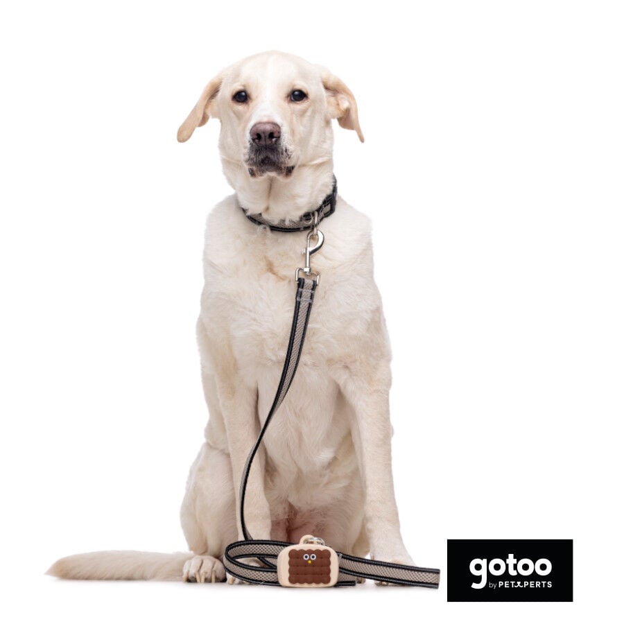 Gotoo Porta bolsas silicona marr&oacute;n para perros, , large indicador imagen numero 4