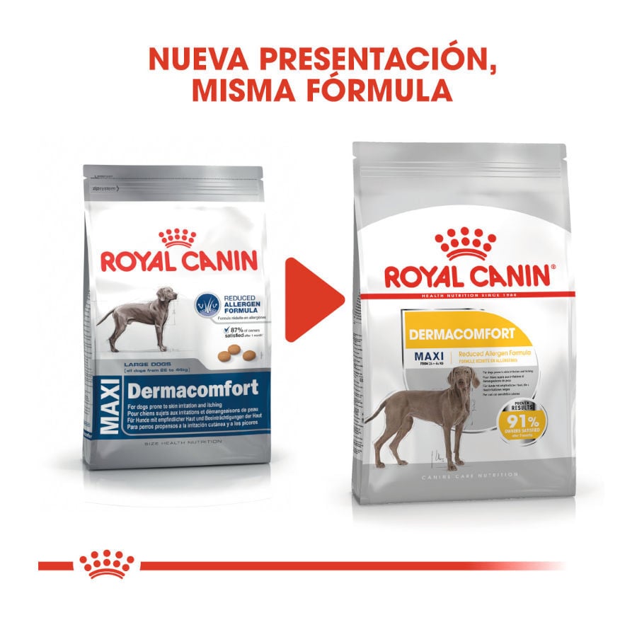 12 kg Royal Canin Dermacomfort Maxi pienso para perros, , large indicador imagen numero 3