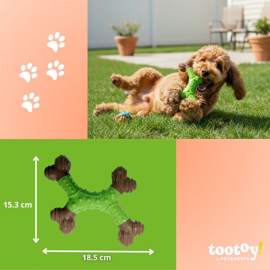 Tootoy! Hueso Mordedor Dental para perros, , large indicador imagen numero 4