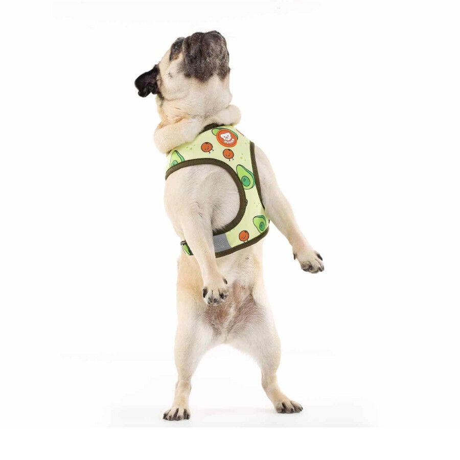 Dukier Avocado Arn&eacute;s Reversible Estampado Aguacate para perros, , large Imagen numero 3