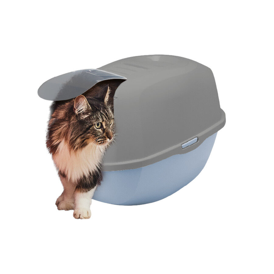 Nice Care Eco Arenero Smart Azul para gatos, , large Imagen numero 1