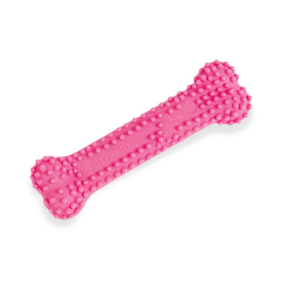 Nylabone Hueso Mordedor Dental Rosa Sabor a Pollo para cachorros, , large indicador imagen numero 1