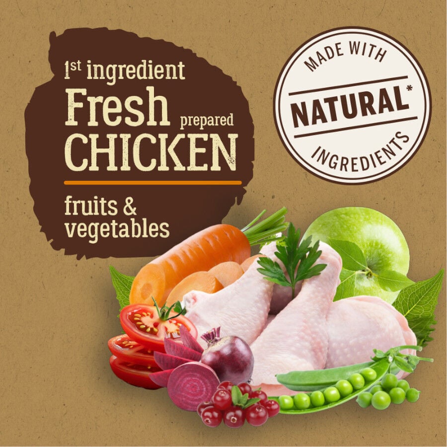 12 kg True Origins Pure Adult Pollo y Arroz pienso para perros, , large Imagen numero 3