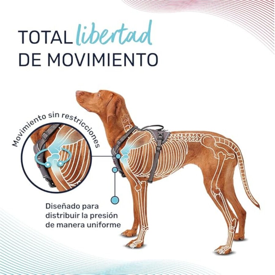 Halti arn&eacute;s anat&oacute;mico con asa gris para perros, , large Imagen numero 2