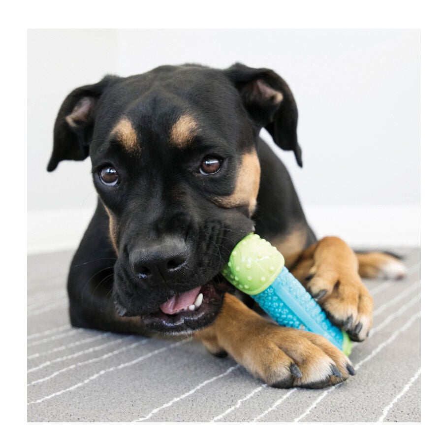 Kong Corestrength Hueso para perros, , large indicador imagen numero 2