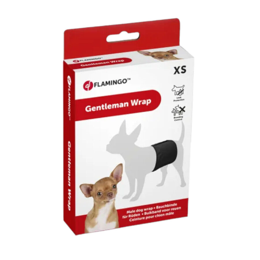 Flamingo Pa&ntilde;al Lavable para perros machos, , large indicador imagen numero 1
