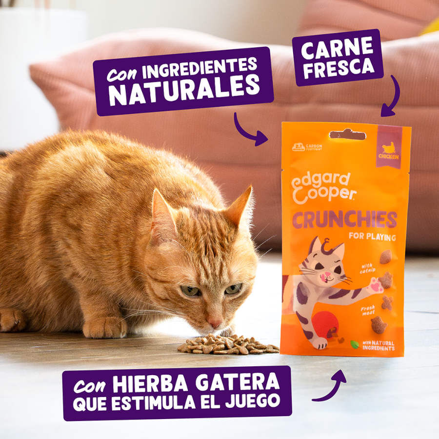 50 g Edgard & Cooper Galletas Crunchies Pollo para gatos, , large Imagen numero 2