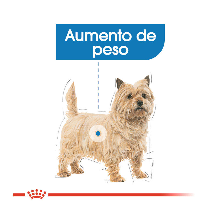 85 g Royal Canin Light Weight Care Sobres Pat&eacute; para perros, , large Imagen numero 4