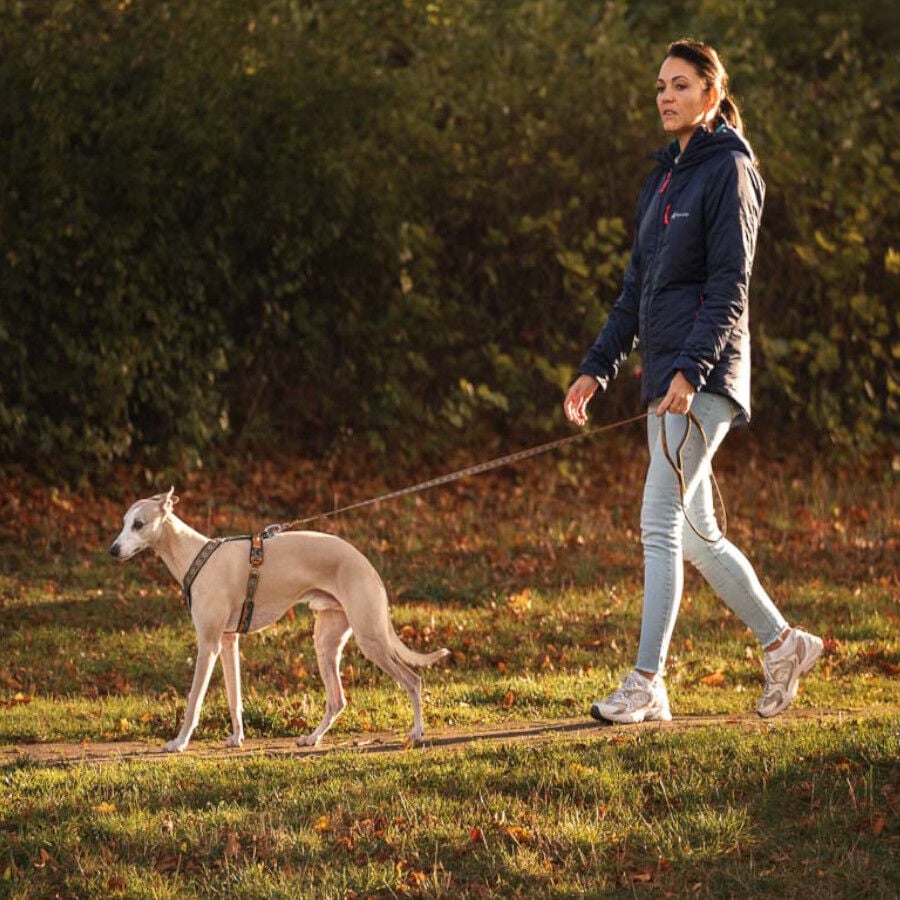 Non-stop Dogwear Correa Turquesa y Roble para perros, , large indicador imagen numero 2