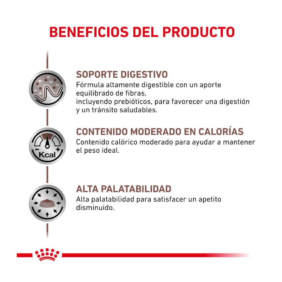 4 kg Royal Canin Veterinary Gastrointestinal Moderate Calorie pienso para gatos, , large indicador imagen numero 2
