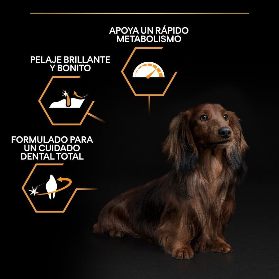 3 kg Pro Plan Adult Small y Mini Pollo pienso para perros, , large indicador imagen numero 3