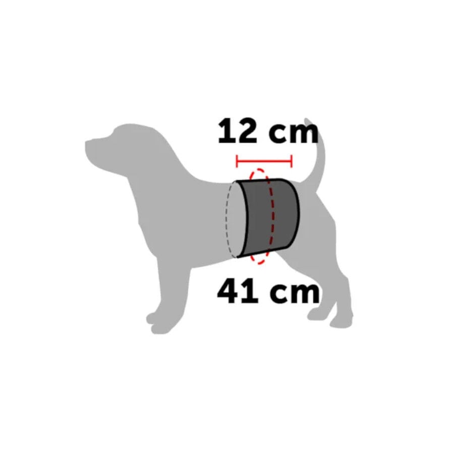 Flamingo Pa&ntilde;al Lavable para perros machos, , large indicador imagen numero 4