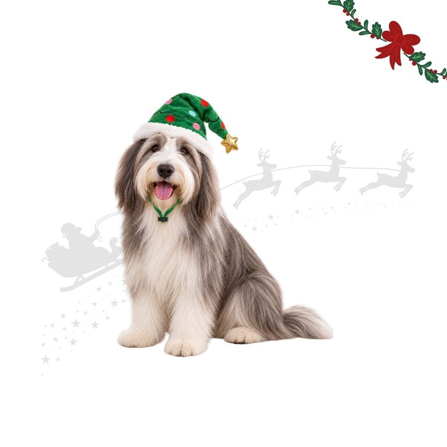 Wonder Christmas Gorro &Aacute;rbol Navidad para perros, , large indicador imagen numero 1