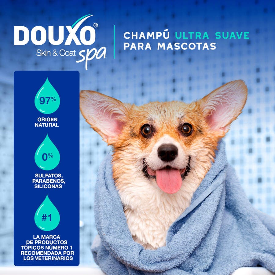 Ceva Douxo Spa Champ&uacute; Antiolor para perros, , large Imagen numero 3