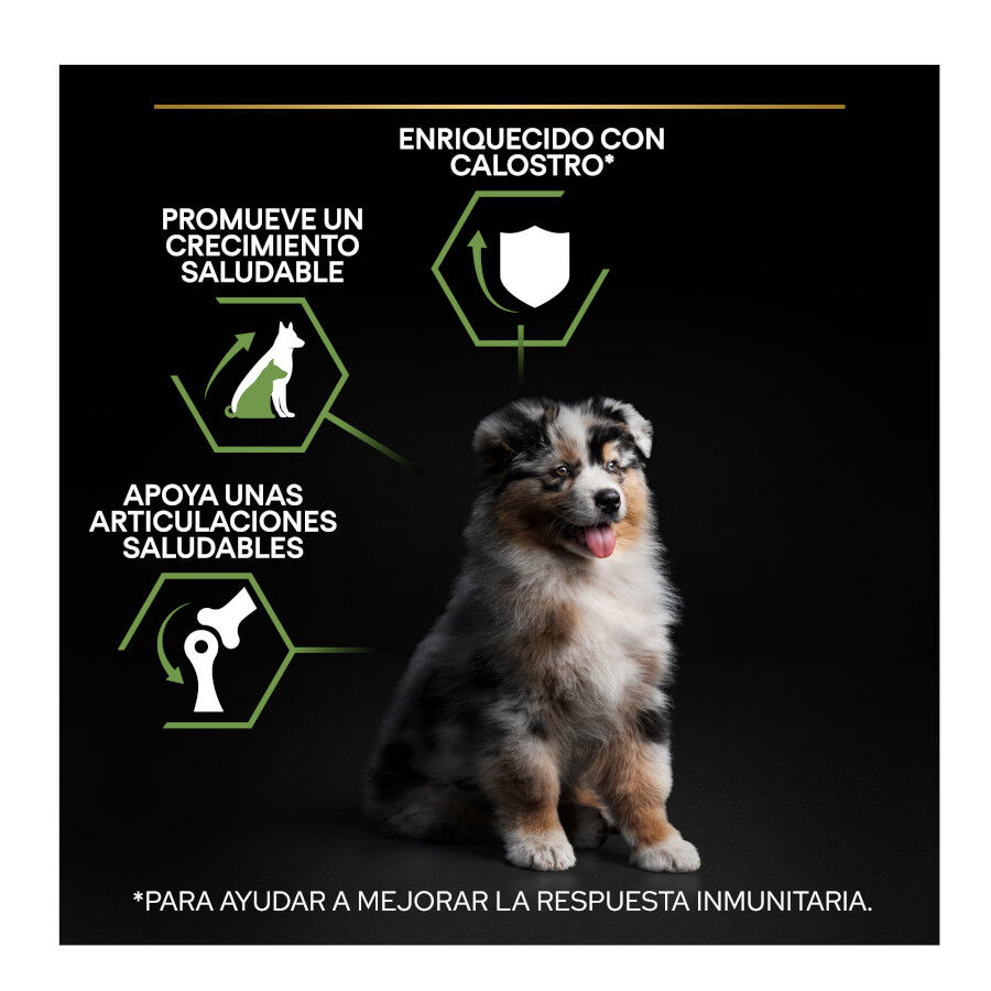 14 kg (12 + 2 kg &iexcl;gratis!) Pro Plan Puppy Medium Pollo pienso para perros, , large indicador imagen numero 3