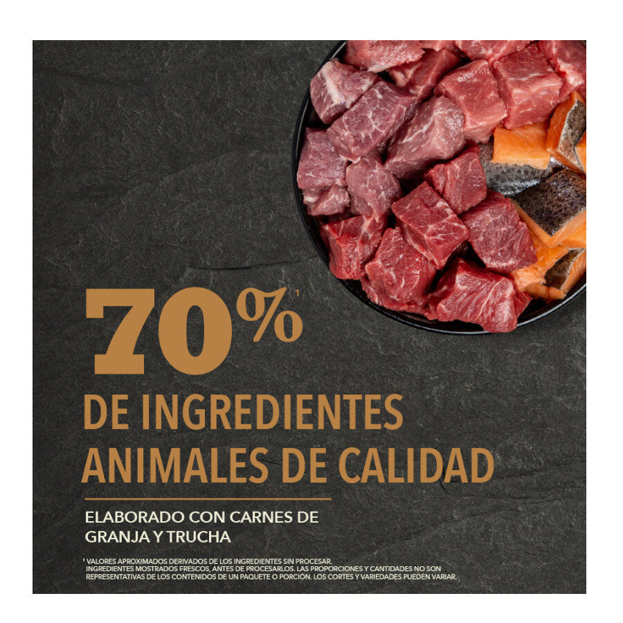 11.4 kg Acana Ranchlands Carnes Rojas pienso para perros, , large indicador imagen numero 4