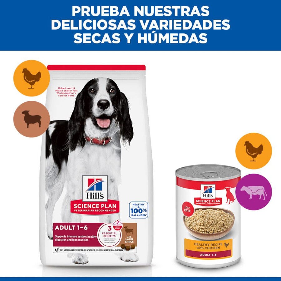 18 kg Hill's Science Plan Adult Medium Cordero y Arroz pienso para perros, , large indicador imagen numero 9