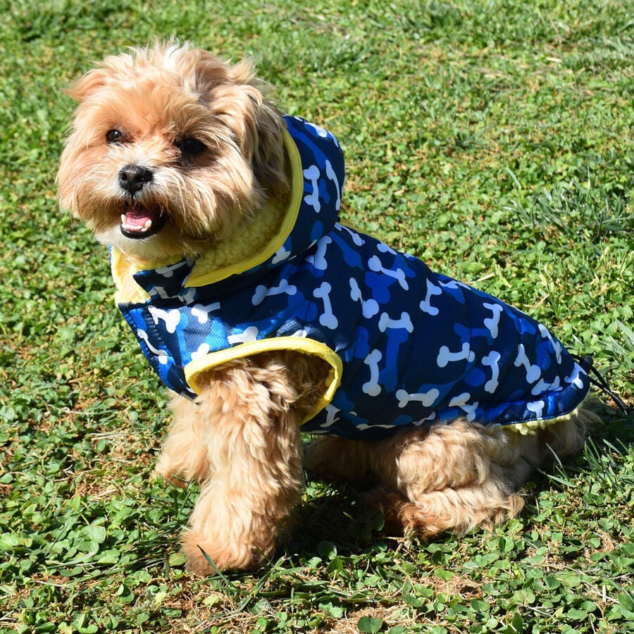 Nayeco Abrigo Acolchado Paws Print Azul para perros, , large Imagen numero 1