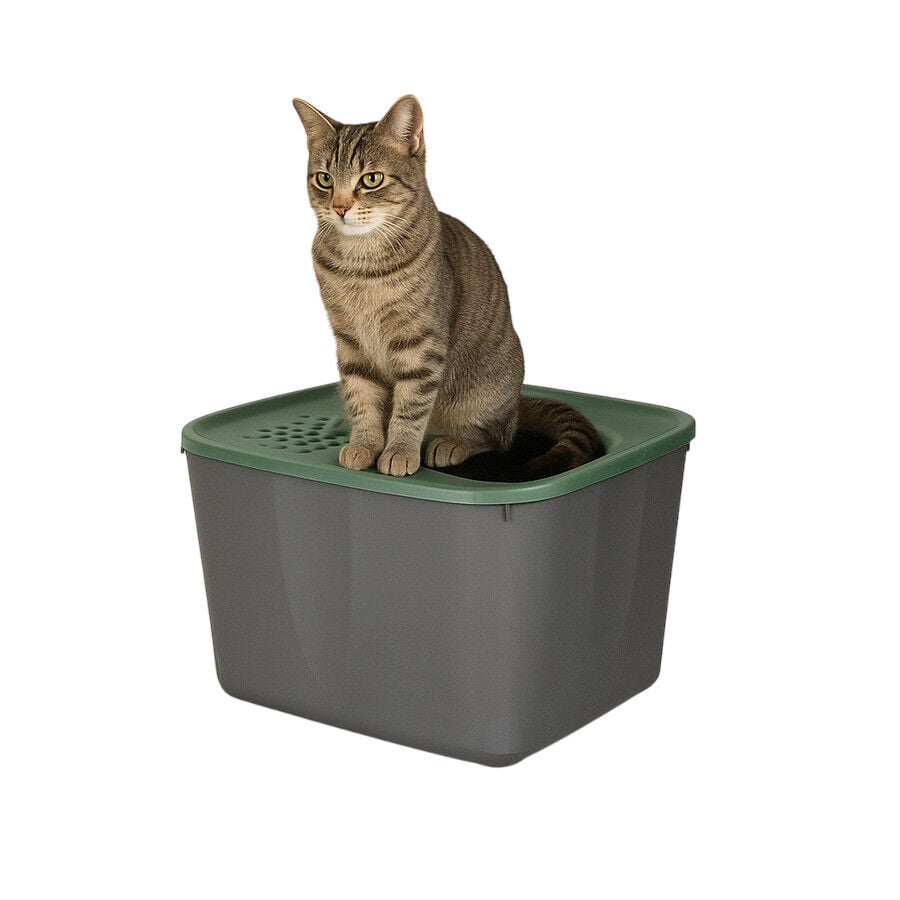 Nice Care Eco Arenero Micia Verde para gatos, , large Imagen numero 1