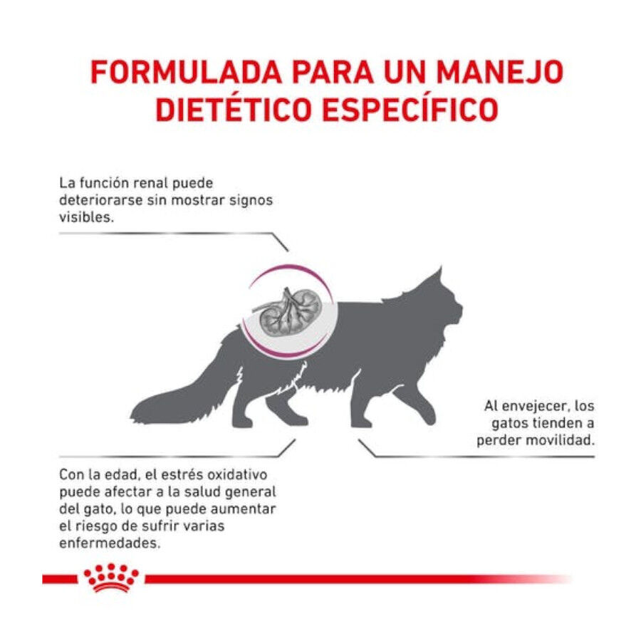 6 kg Royal Canin Veterinary Early Renal pienso para gatos, , large indicador imagen numero 5