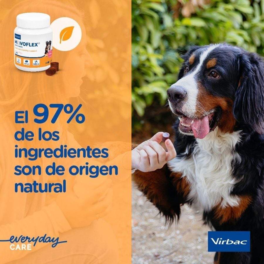 Virbac Movoflex Condroprotector para perros, , large indicador imagen numero 8