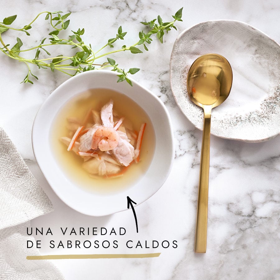 40 g Gourmet Nature's Creations Sopa de Pollo para gatos, , large Imagen numero 2