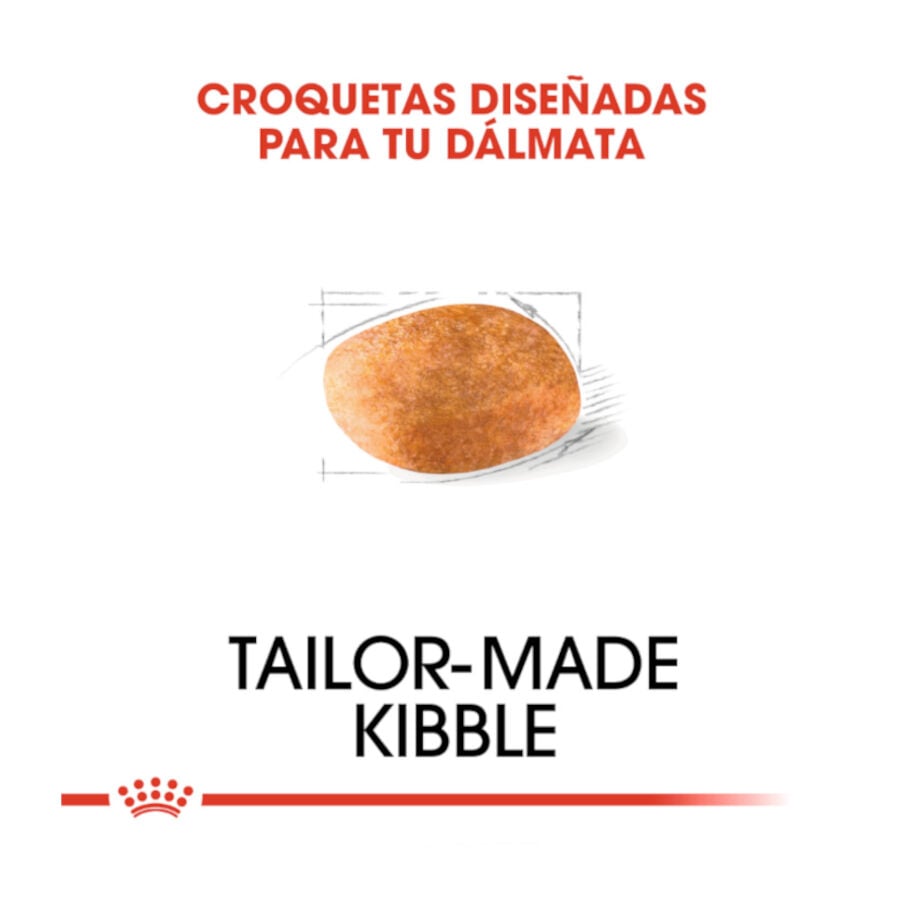 12 kg Royal Canin Adult D&aacute;lmata pienso para perros, , large indicador imagen numero 5