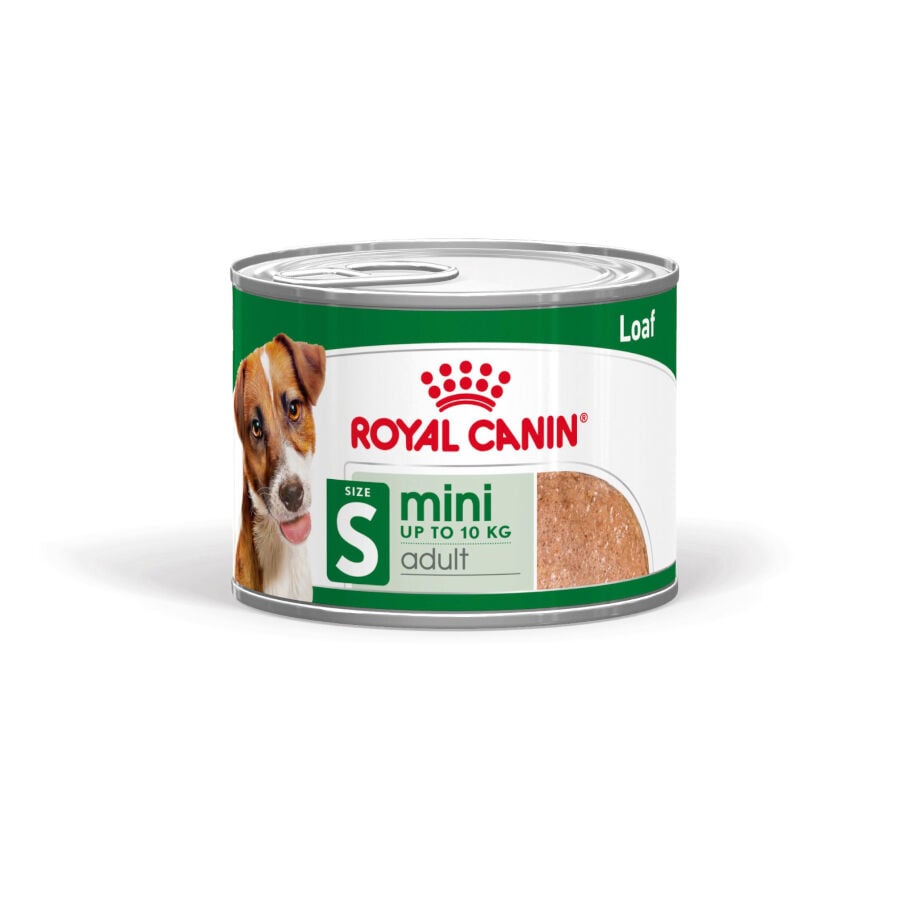 195 g Royal Canin Mini Adult Pat&eacute; lata para perros, , large Imagen numero 1