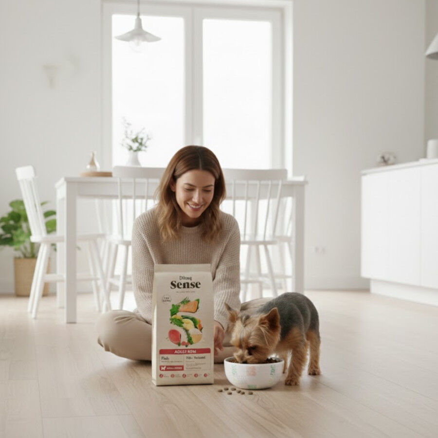 2 kg Dibaq Sense Low Grain Ault Mini Pescado Pienso para perros, , large indicador imagen numero 4