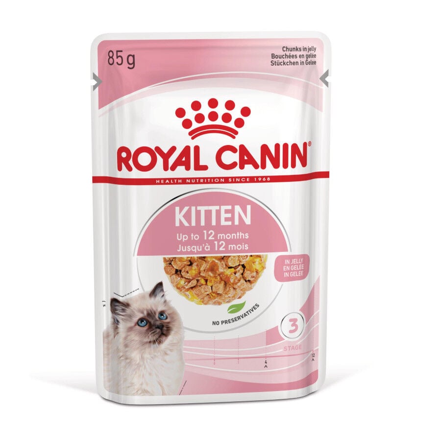 85 g Royal Canin Kitten comida h&uacute;meda en gelatina sobre para gatos&nbsp;, , large Imagen numero 1