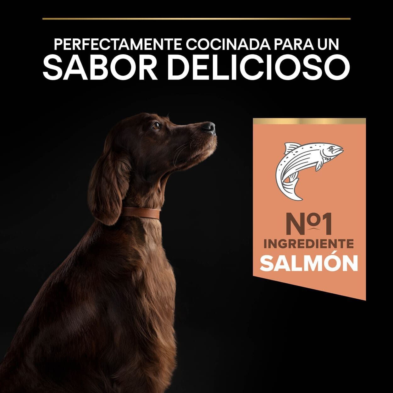 14 kg Pro Plan Large Athletic Adult Salm&oacute;n piel sensible pienso para perros, , large Imagen numero 7