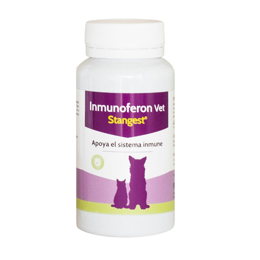 Stangest Inmunoferon Vet Suplemento Sistema Inmune para perros y gatos