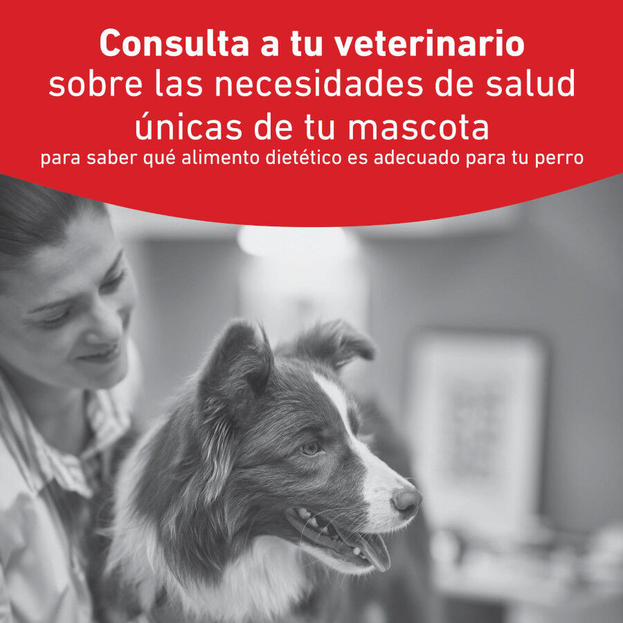 410 g Royal Canin Veterinary Diabetic latas para perros, , large indicador imagen numero 2