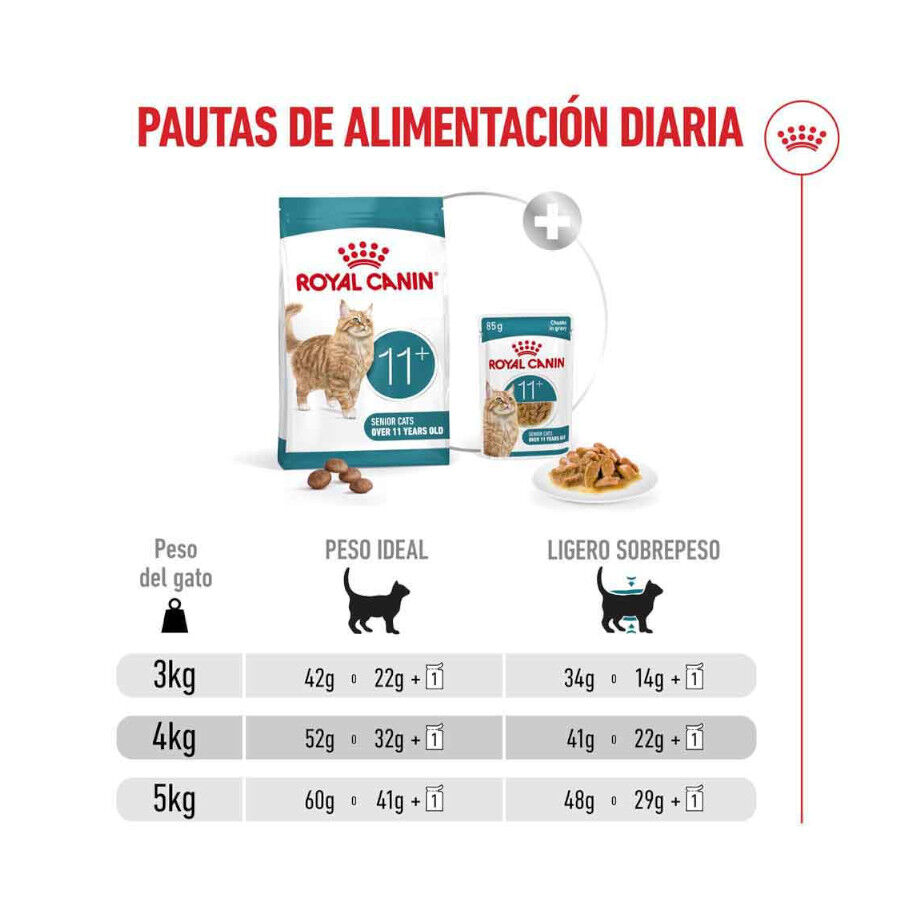 4 kg Royal Canin Ageing 11+ pienso para gatos&nbsp;senior, , large indicador imagen numero 9