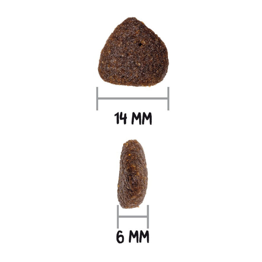14 kg Ownat Just Grain Free Adult Cordero pienso para perros, , large Imagen numero 3