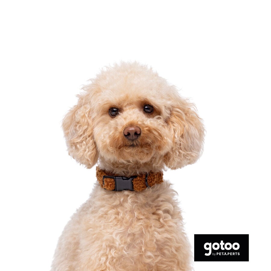 Gotoo Collar teddy marr&oacute;n para perros