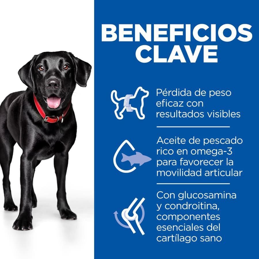 12 kg Hill's Science Plan Perfect weight y Active Mobility pollo pienso para perros grandes, , large Imagen numero 3