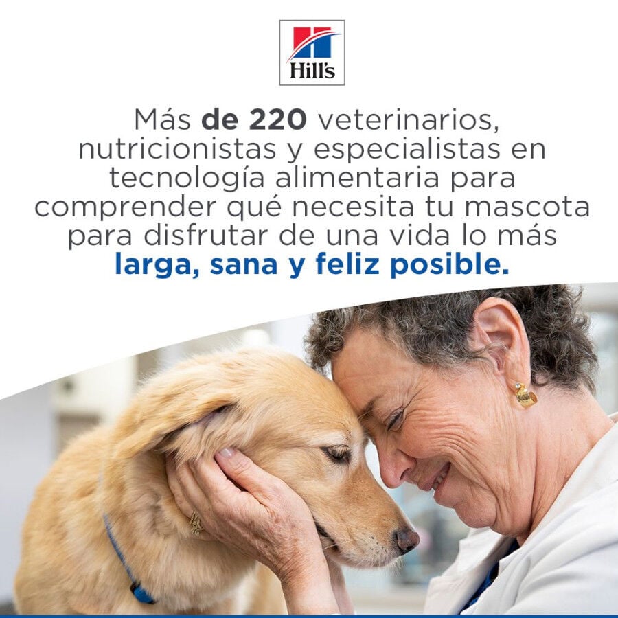 14 kg Hill's Science Plan Mature Adult Medium Pollo pienso para perros, , large indicador imagen numero 10