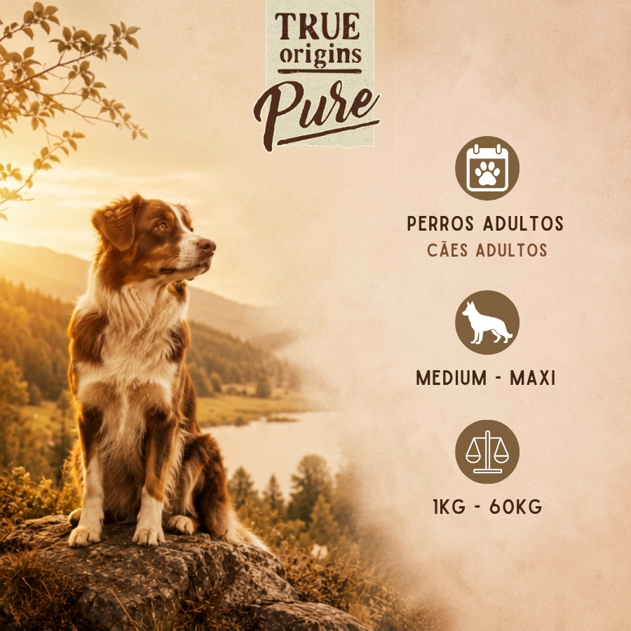 12 kg True Origins Pure Grain Free Adult Cordero pienso para perros, , large Imagen numero 3