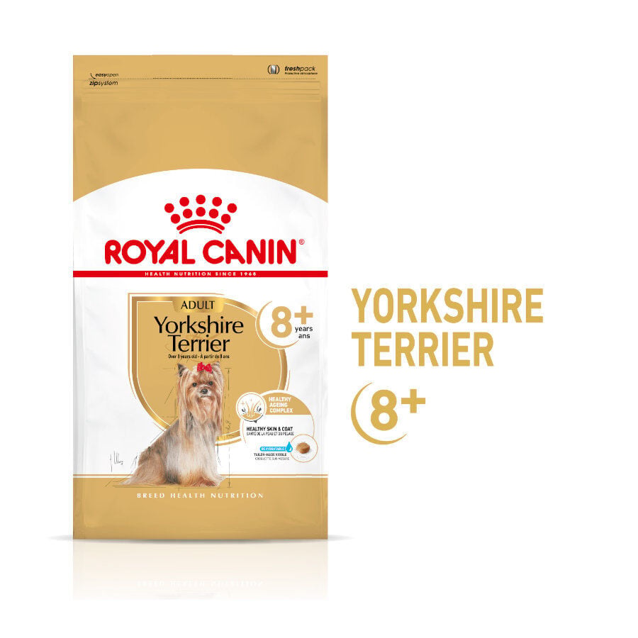 1.5 kg Royal Canin Adult 8+ Yorkshire pienso para perros, , large Imagen numero 1