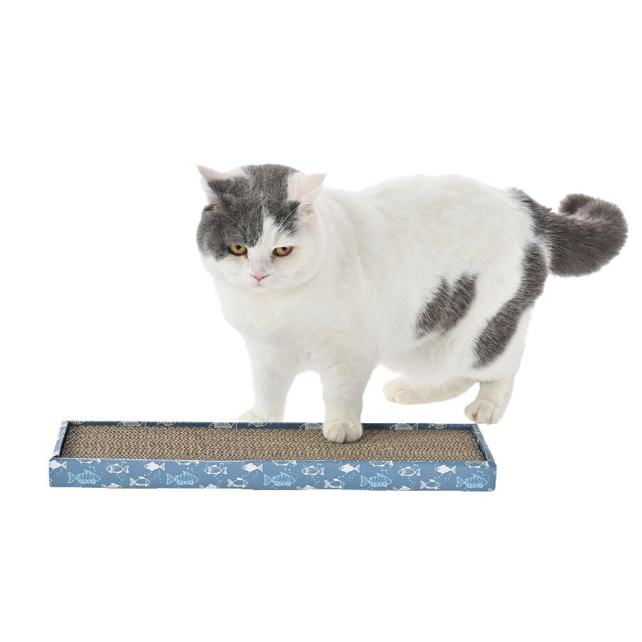 Leeby Fitz tabla rascador de cart&oacute;n azul para gatos, , large indicador imagen numero 10